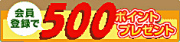 �����Ͽ100�ݥ����