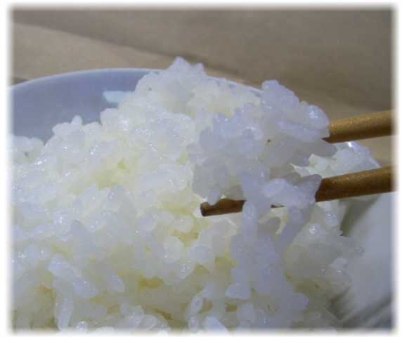 日野特別栽培米こしひかり　ごはん