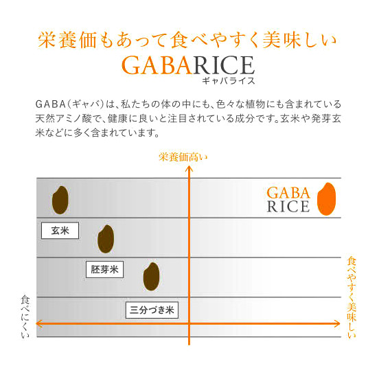 GABA rice